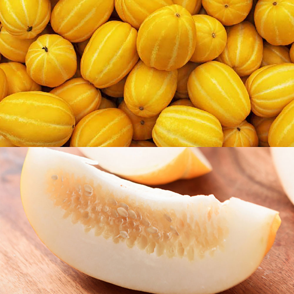 1739348786 thumbnail