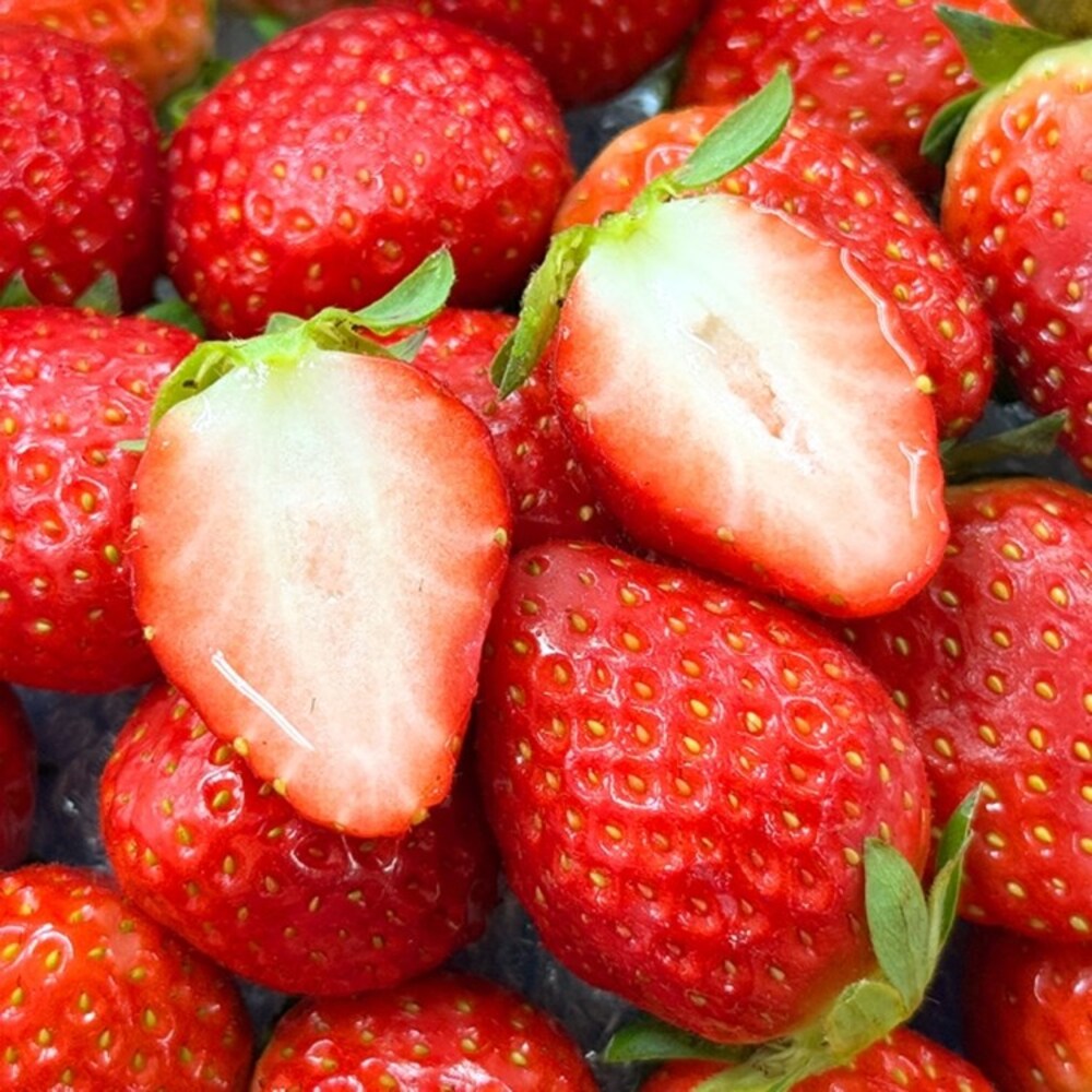 1739348802 thumbnail