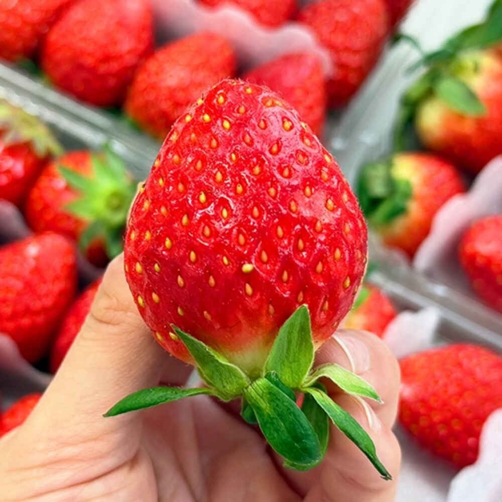 1739348803 thumbnail