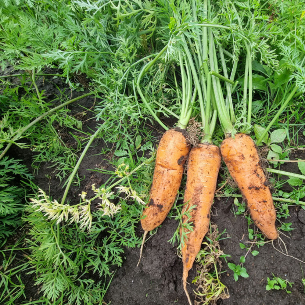 1739349034 thumbnail