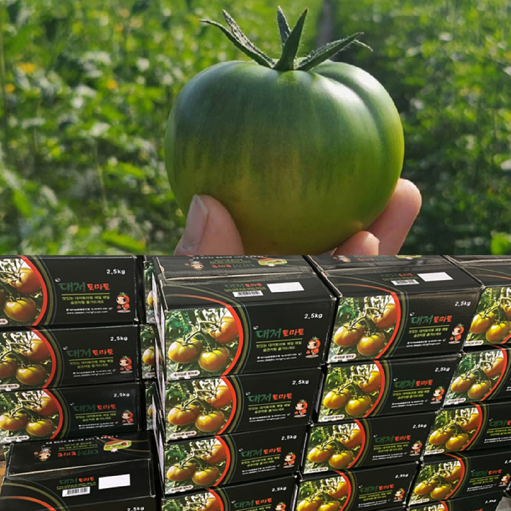 1739929253 thumbnail