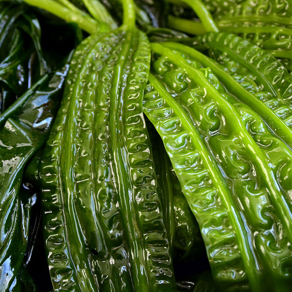 1740023482 thumbnail