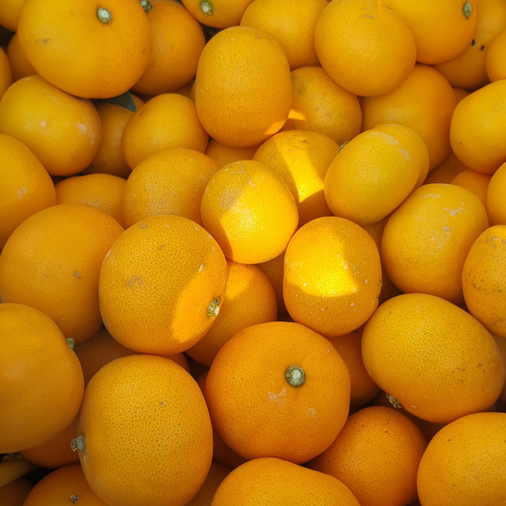 1740111307 thumbnail