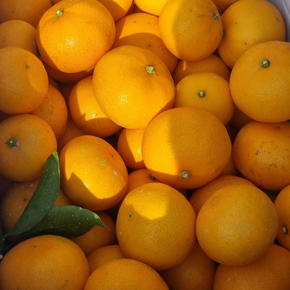 1740111310 thumbnail