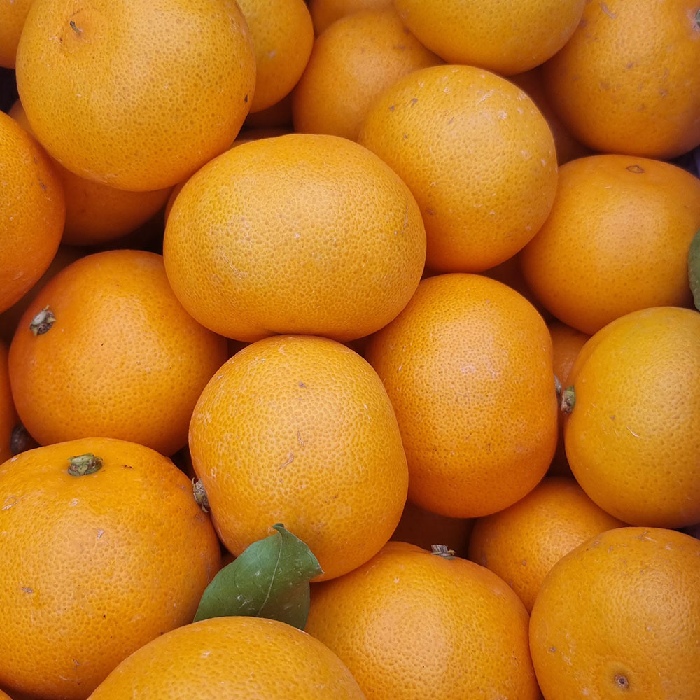 1740111312 thumbnail