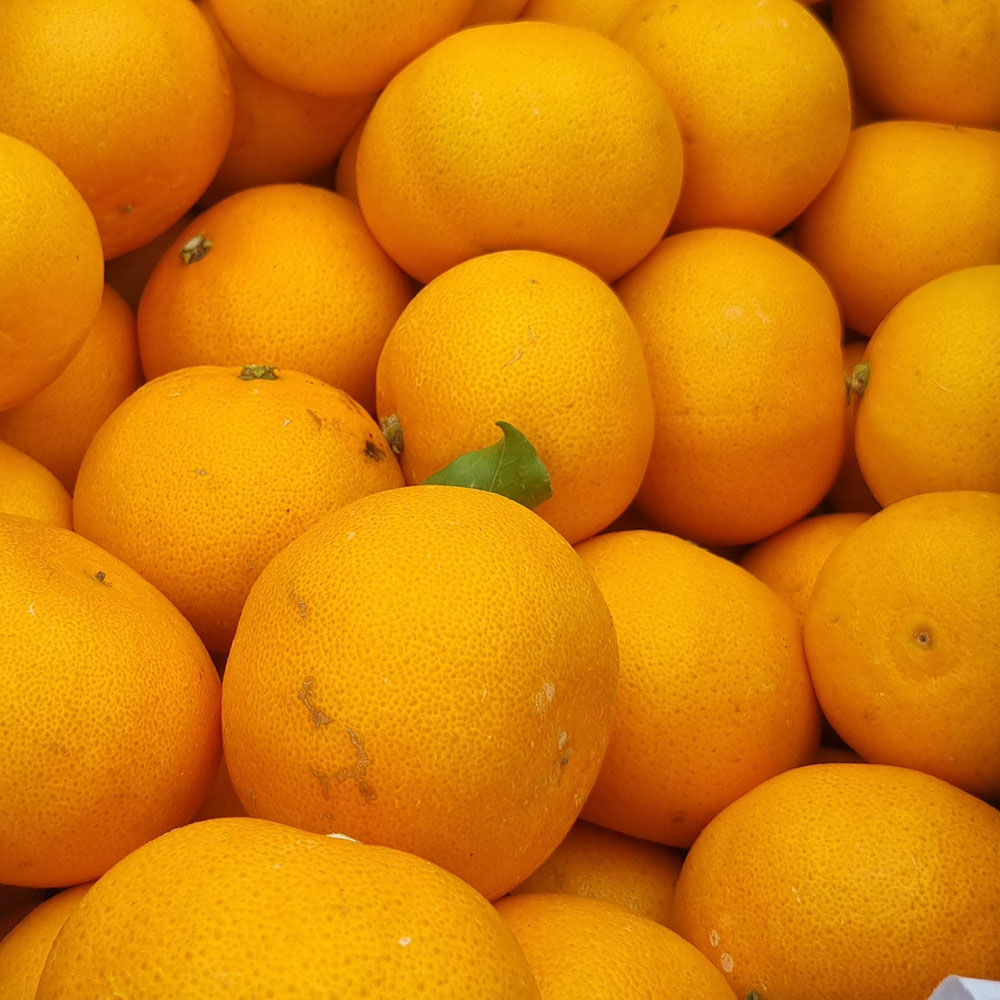 1740111314 thumbnail