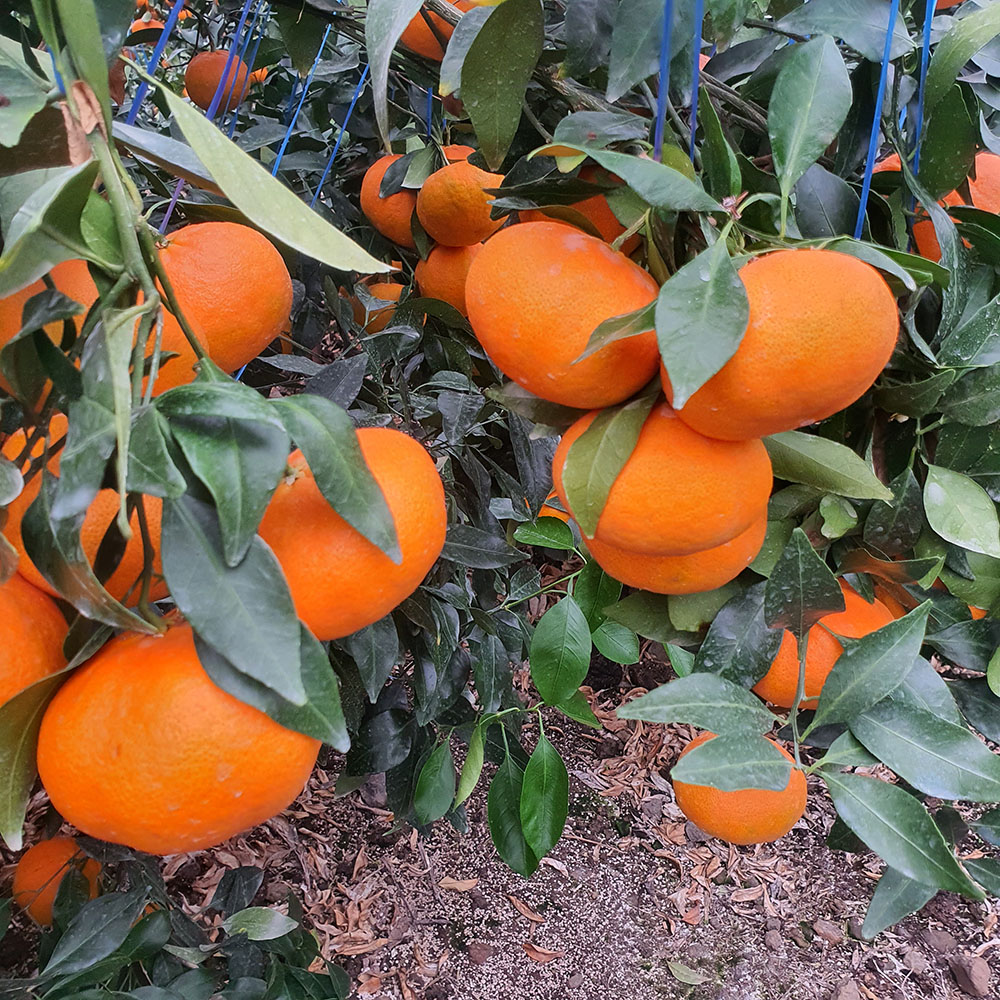 1740111319 thumbnail