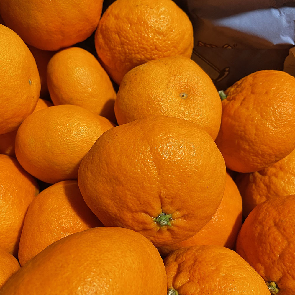 1740111326 thumbnail