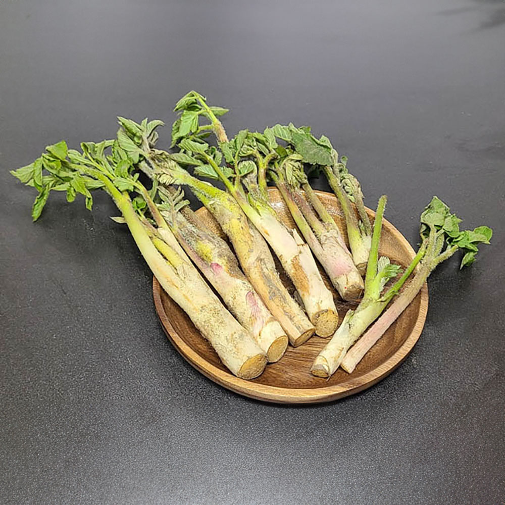 1740111389 thumbnail