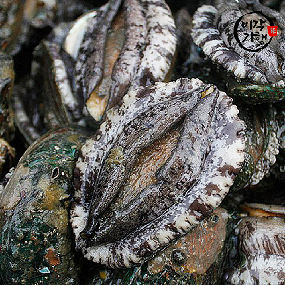 1740111392 thumbnail