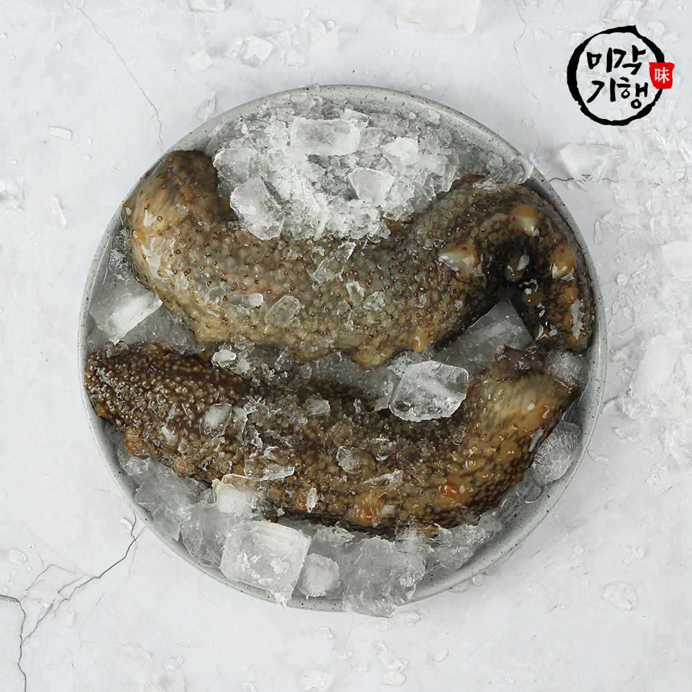 1740111393 thumbnail