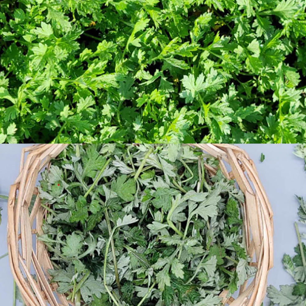 1740111396 thumbnail