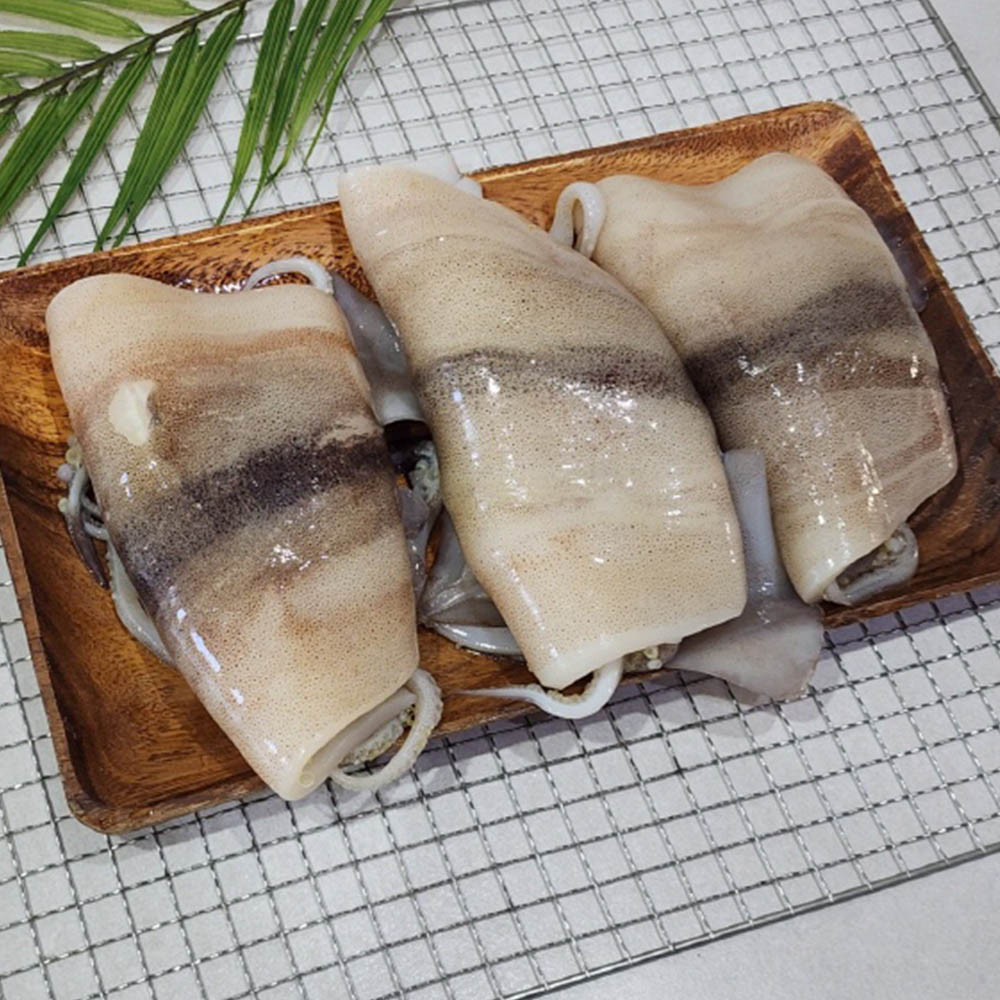 1740370941 thumbnail