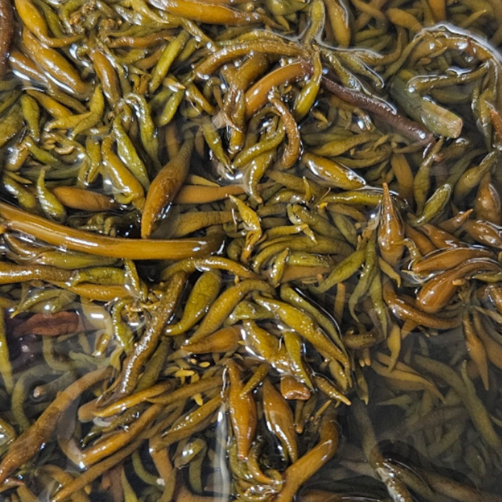 1740555177 thumbnail