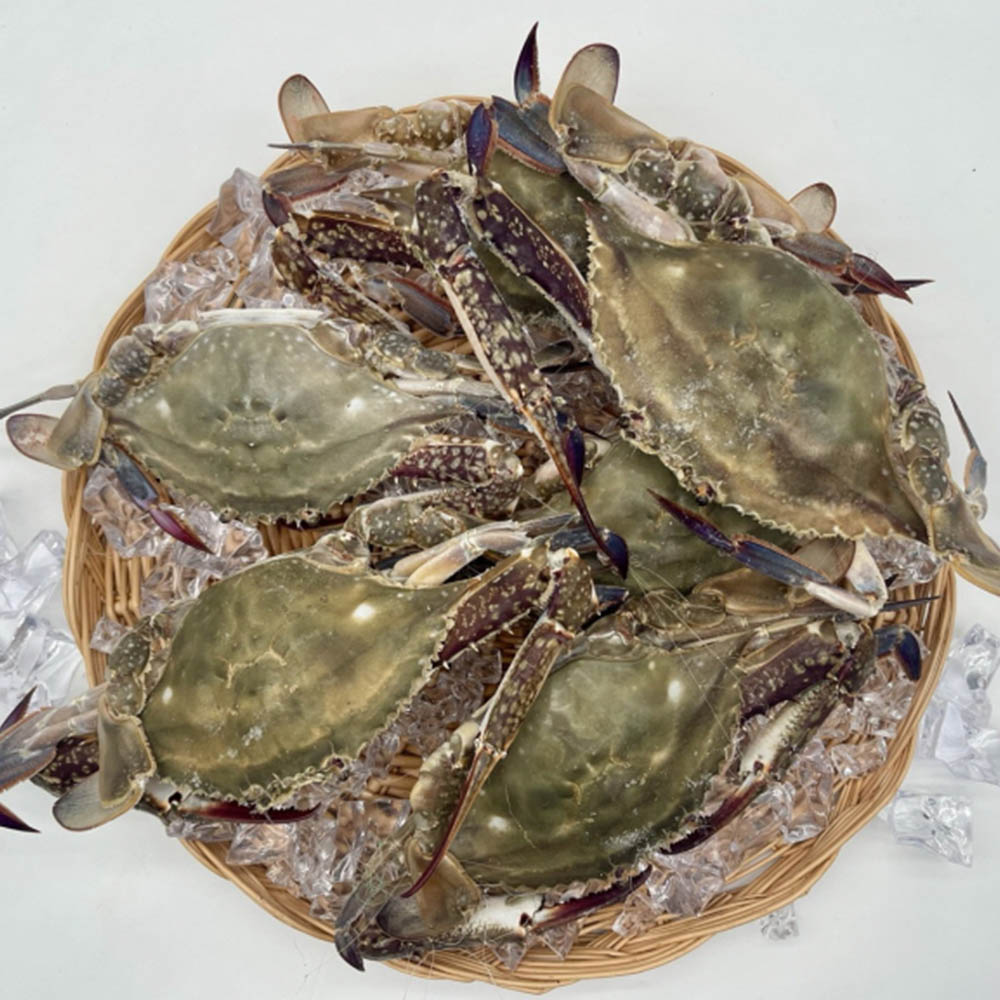 1741244454 thumbnail