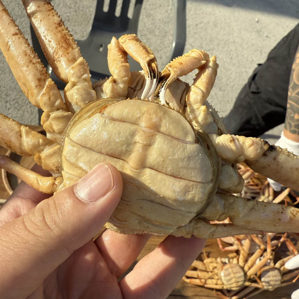 1741244457 thumbnail