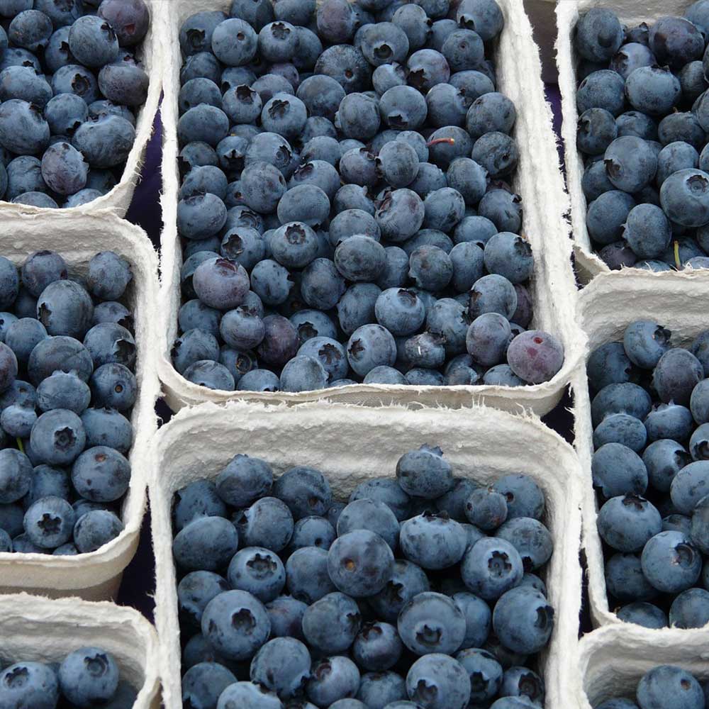 1741336048 thumbnail