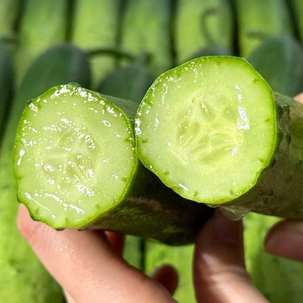 1741336050 thumbnail