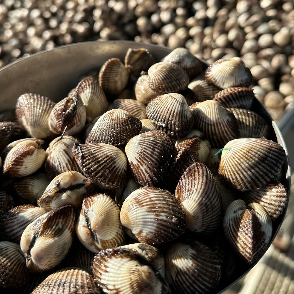 1742199656 thumbnail