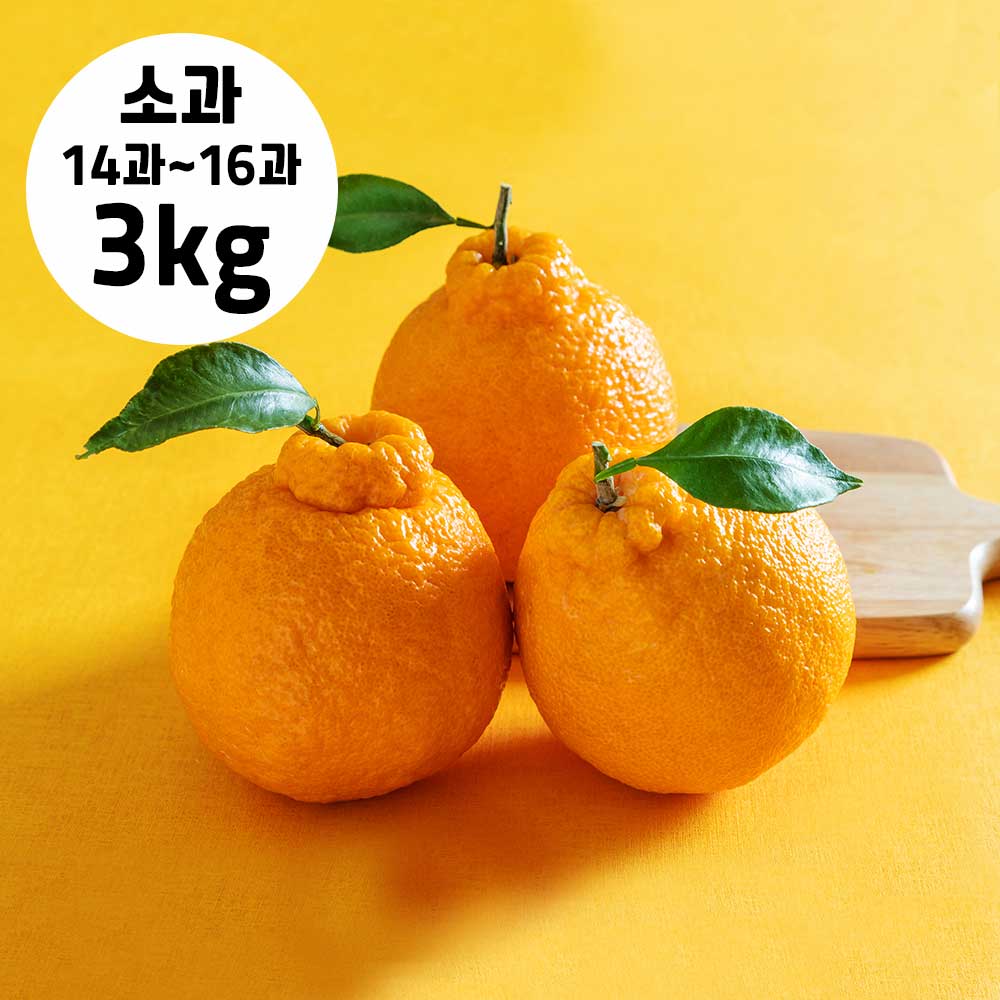 1742274679 thumbnail