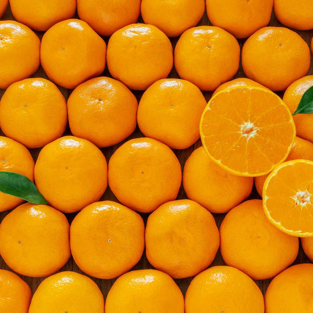 1742274683 thumbnail