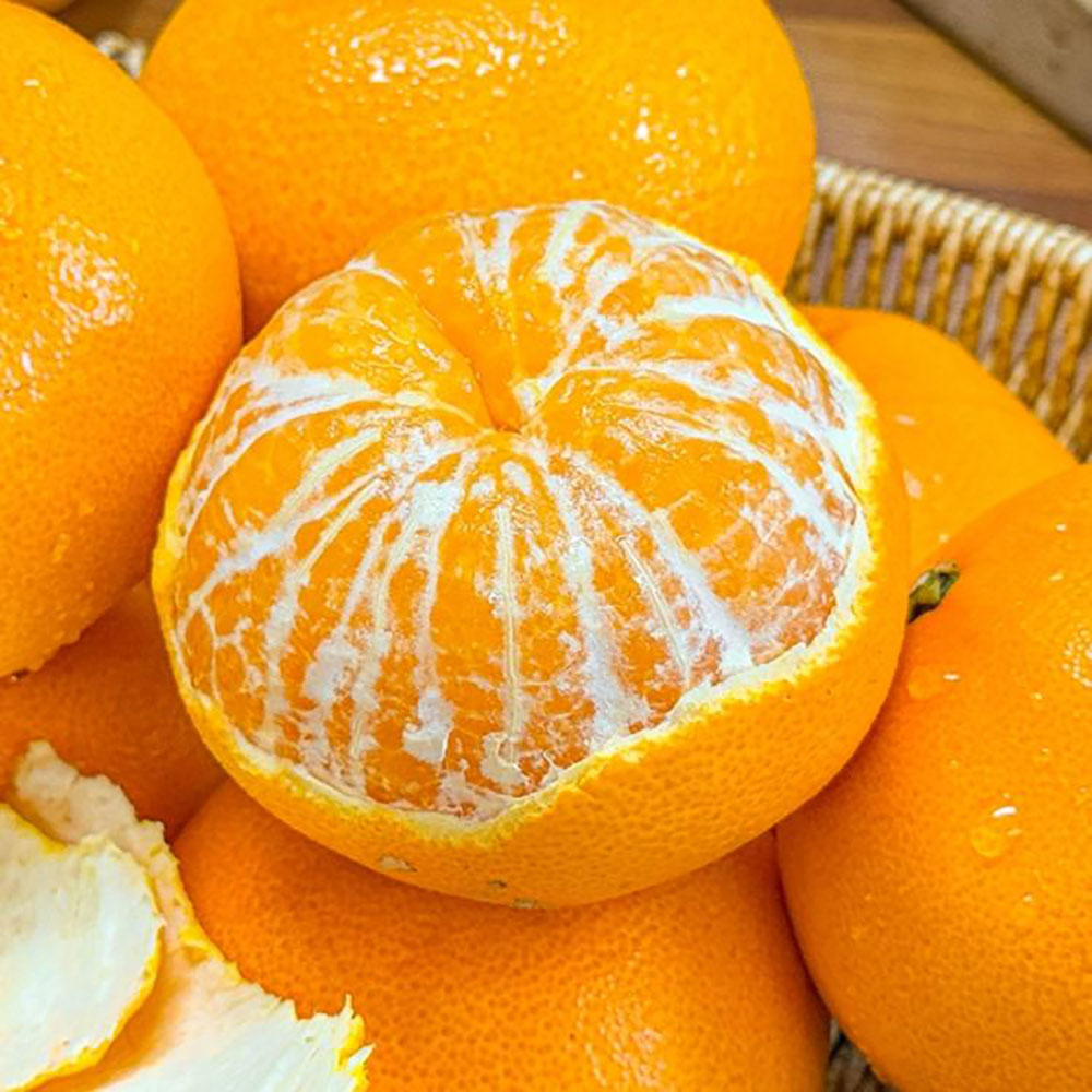 1742373050 thumbnail