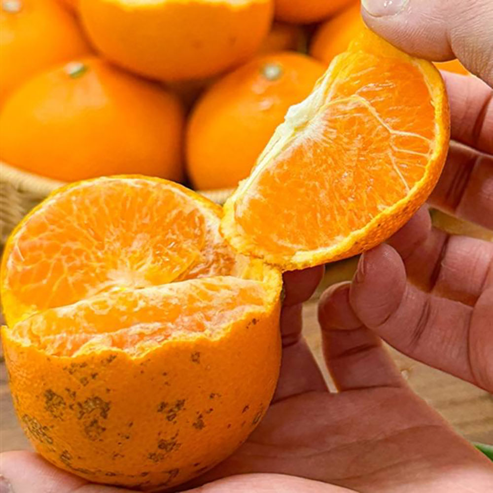 1742373051 thumbnail