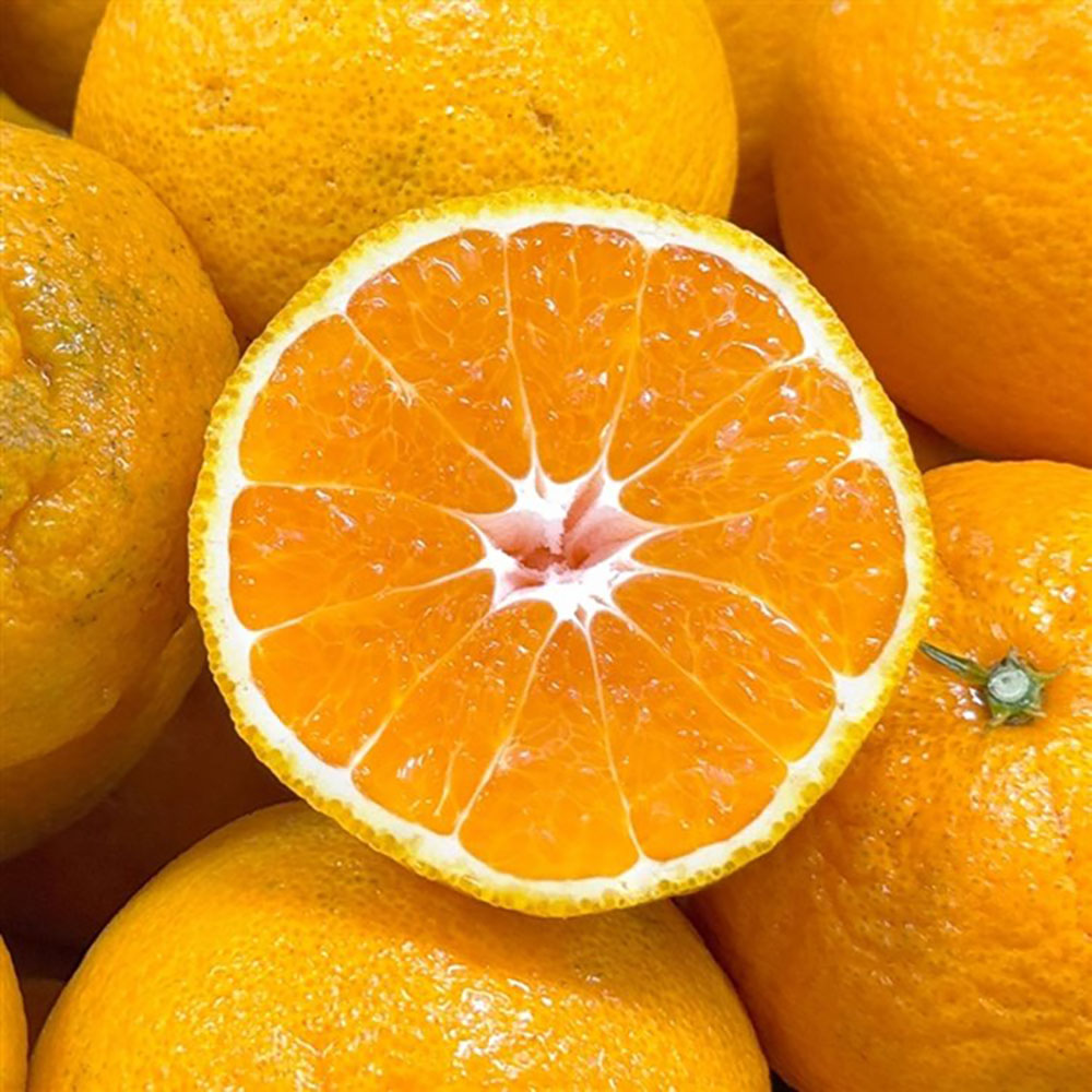 1742373052 thumbnail