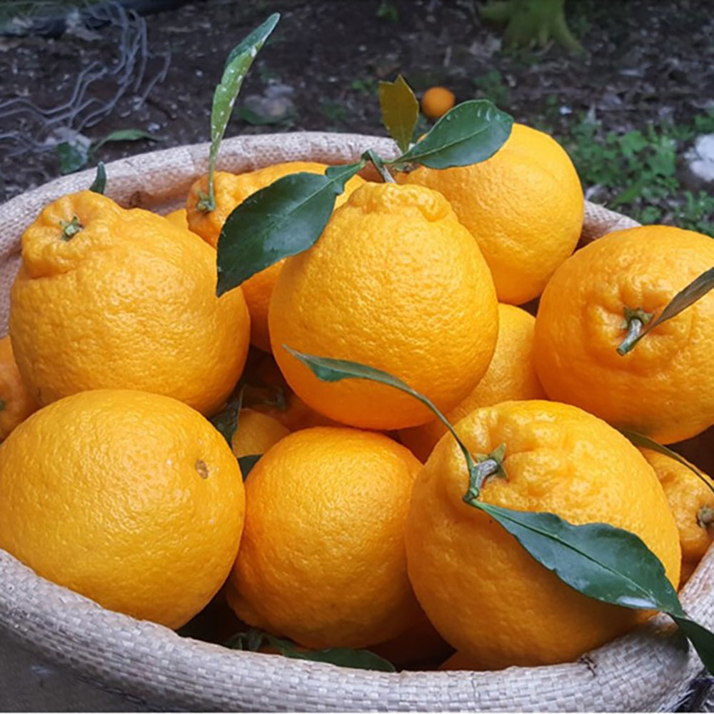 1742373053 thumbnail