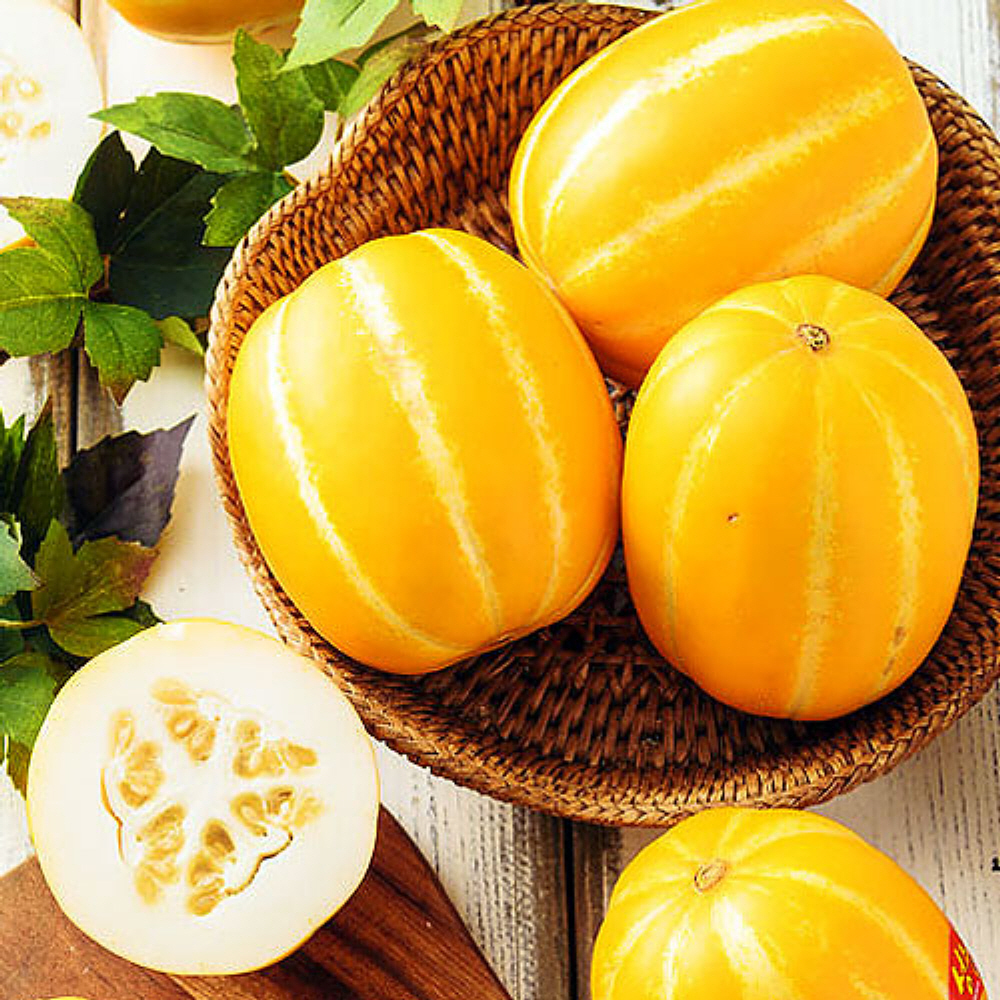 1742445945 thumbnail