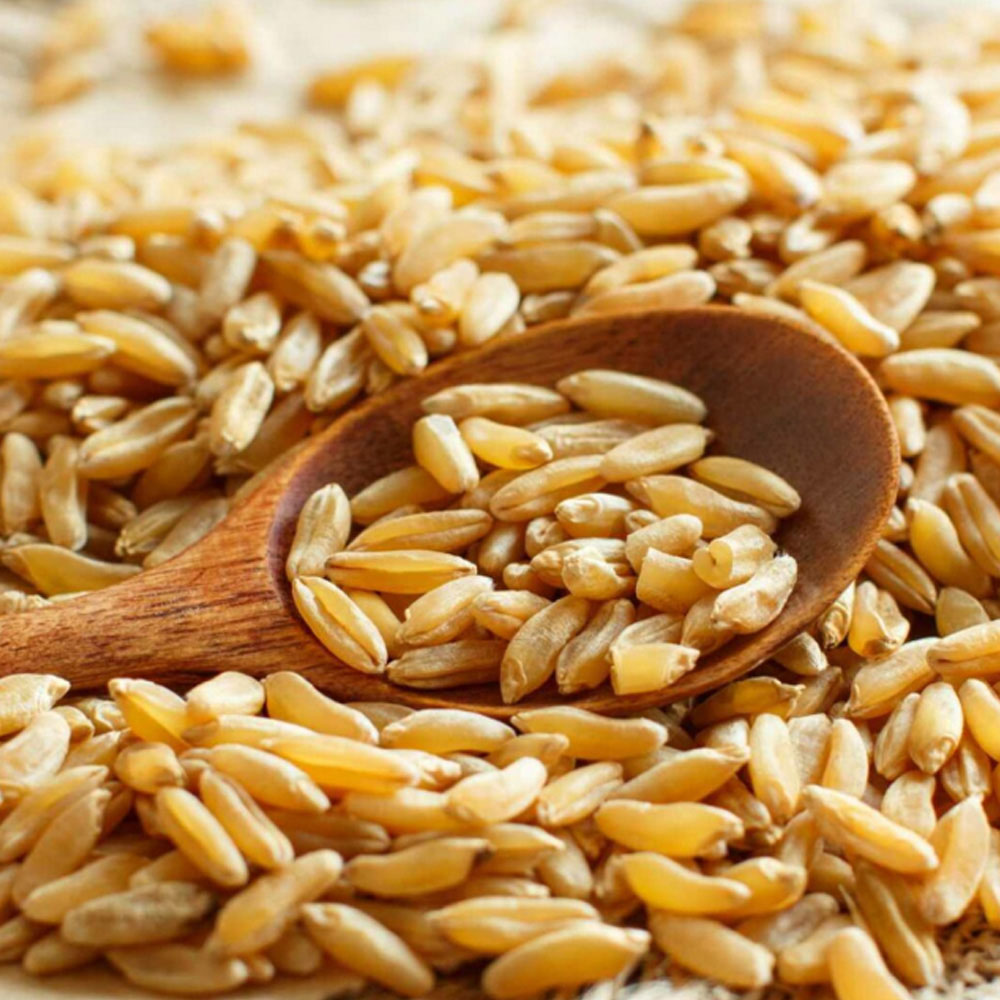 1742891165 thumbnail