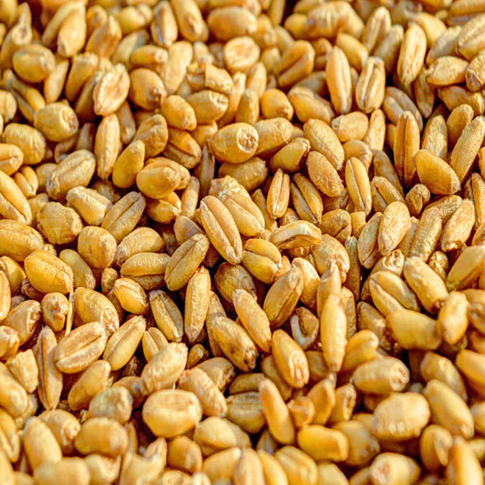 1742891166 thumbnail