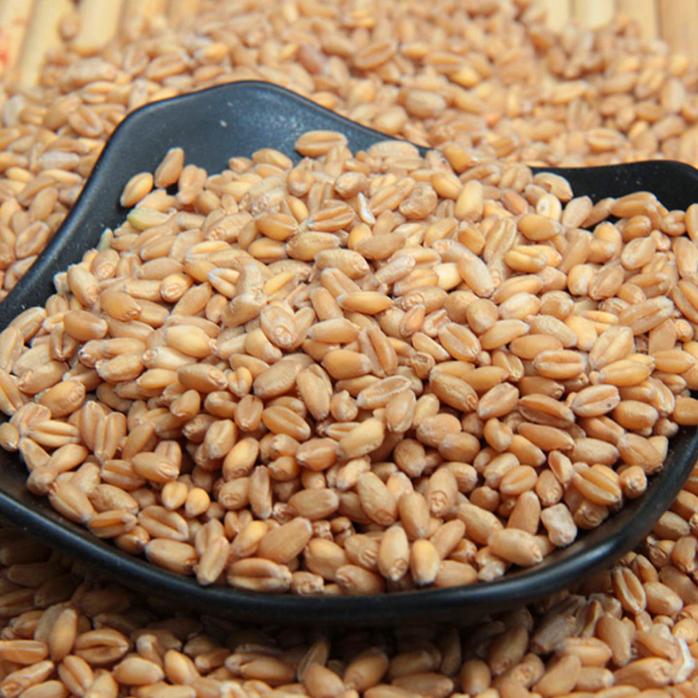 1742891167 thumbnail