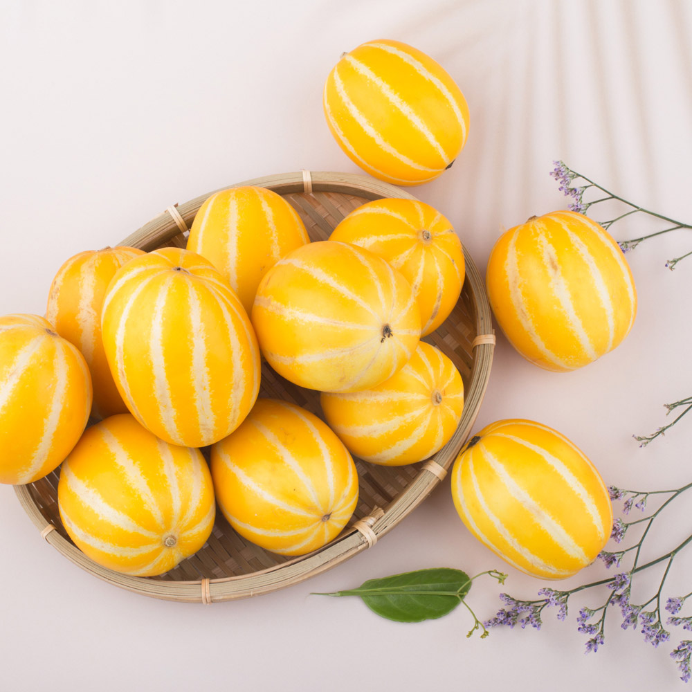 1742970059 thumbnail