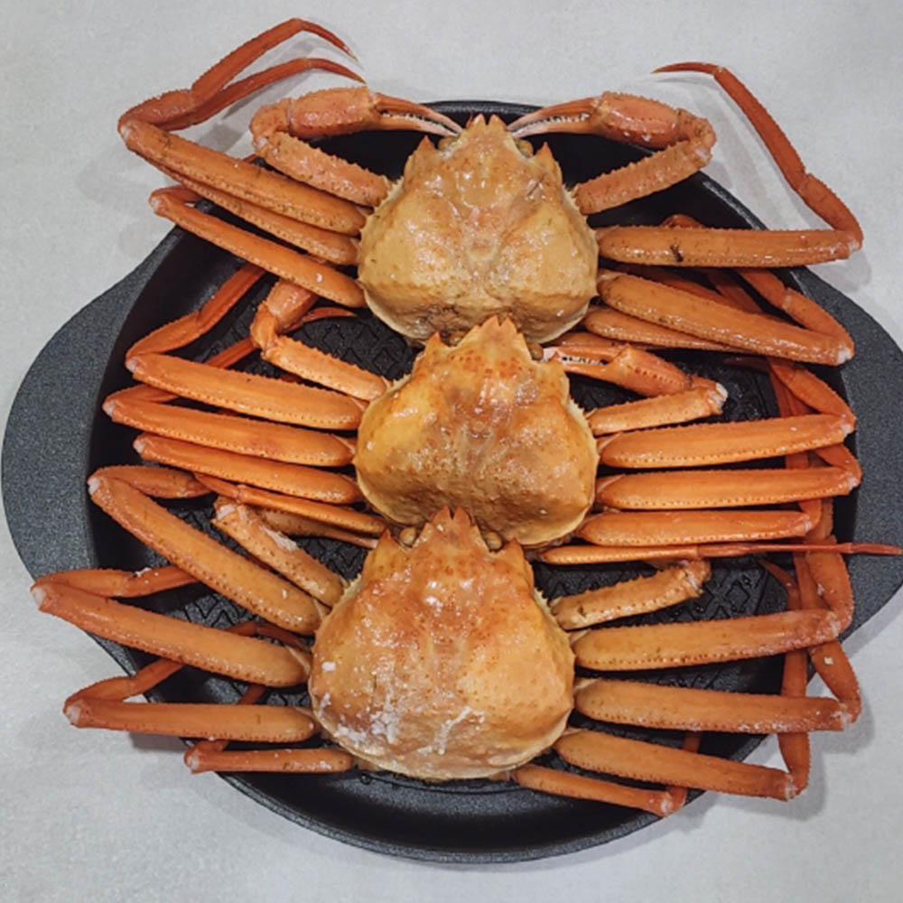 1742976292 thumbnail