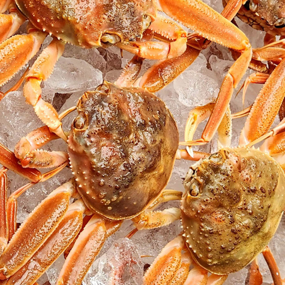 1742976293 thumbnail