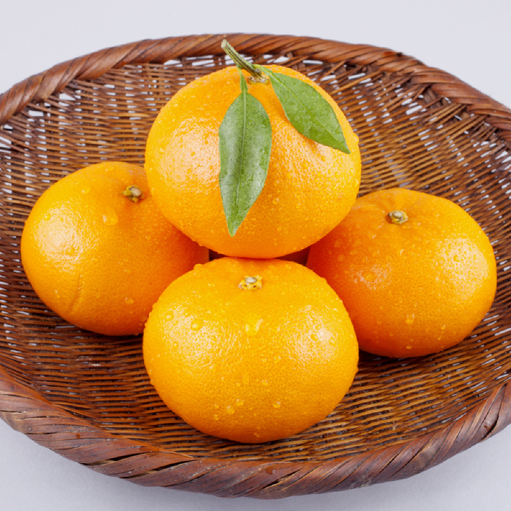 1743049042 thumbnail