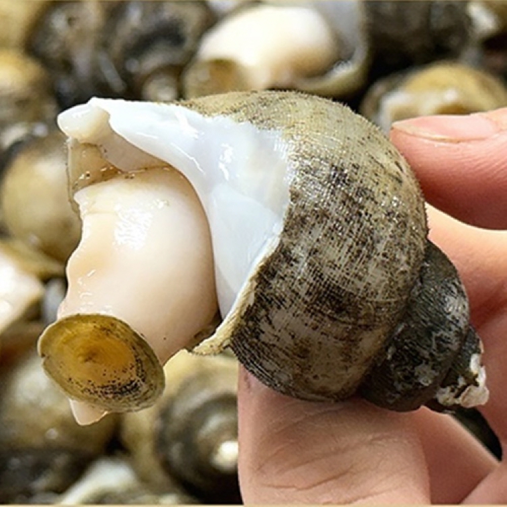 1743049068 thumbnail