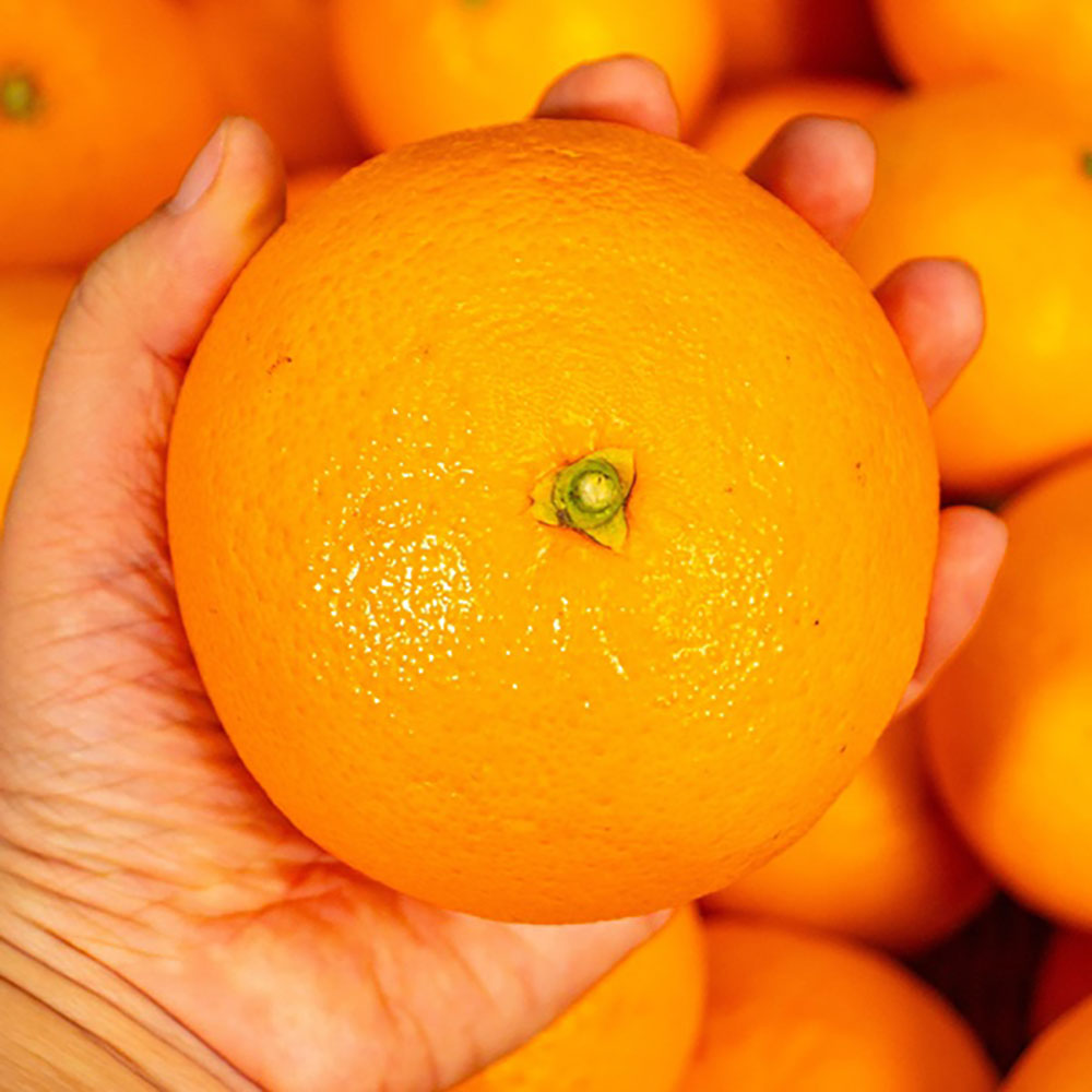 1743063084 thumbnail