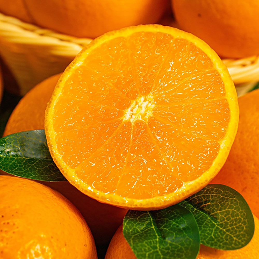 1743063085 thumbnail