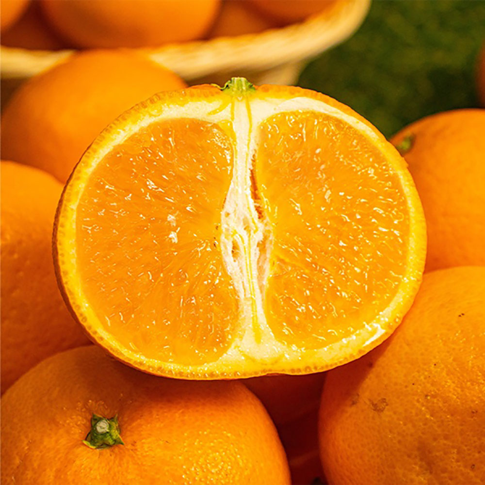 1743063086 thumbnail