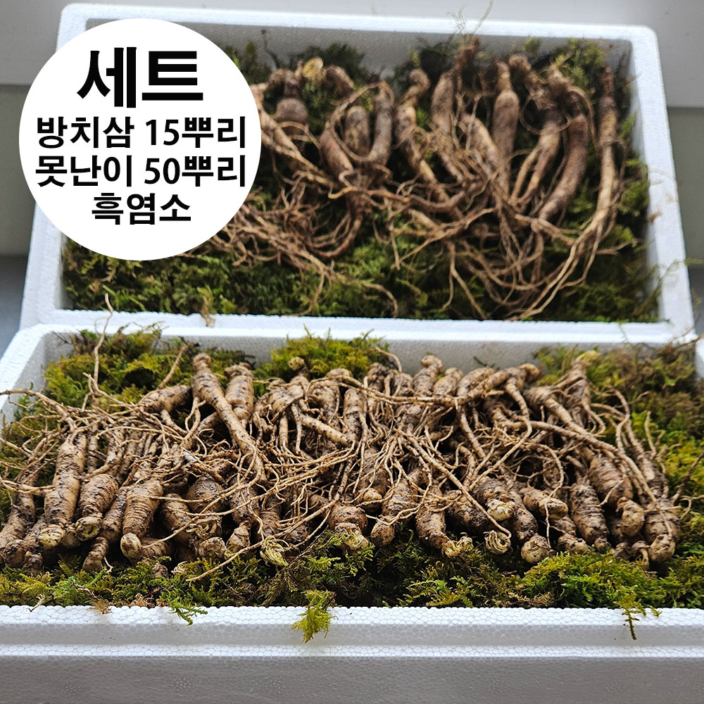 1743491301 thumbnail