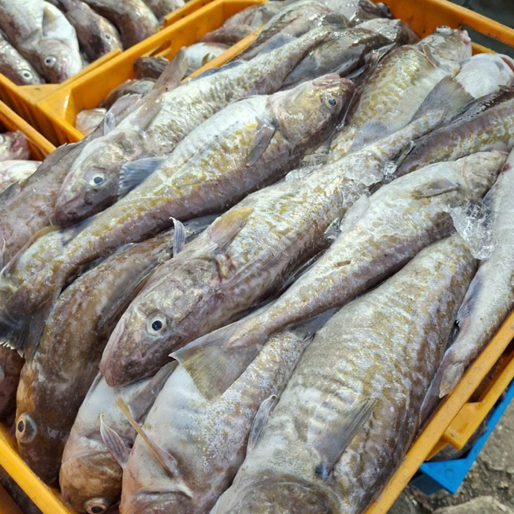 1743650222 thumbnail