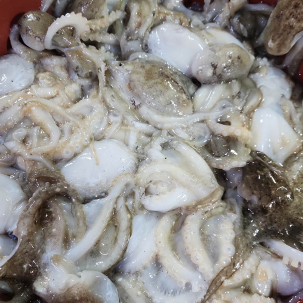 1743650223 thumbnail