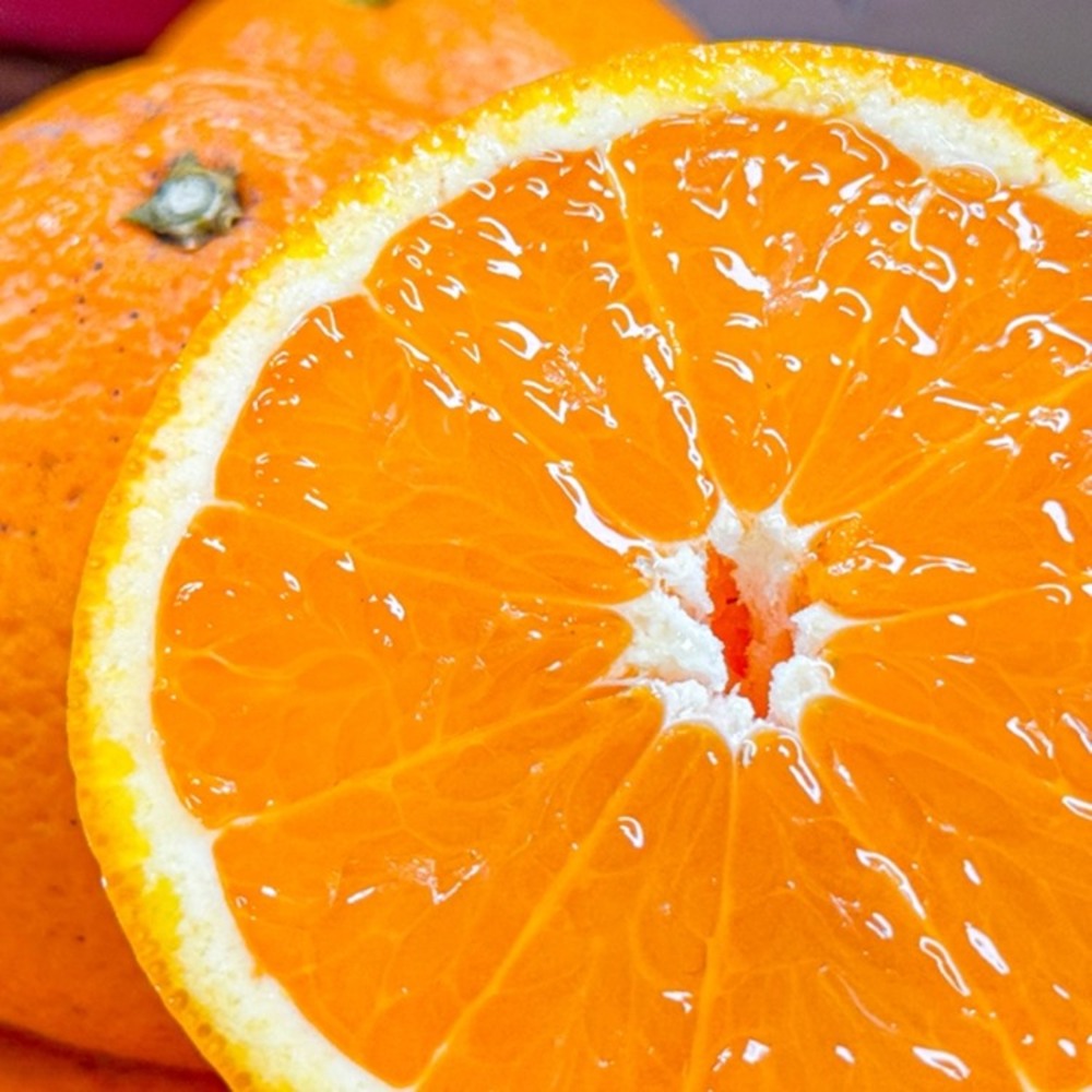 1744090936 thumbnail