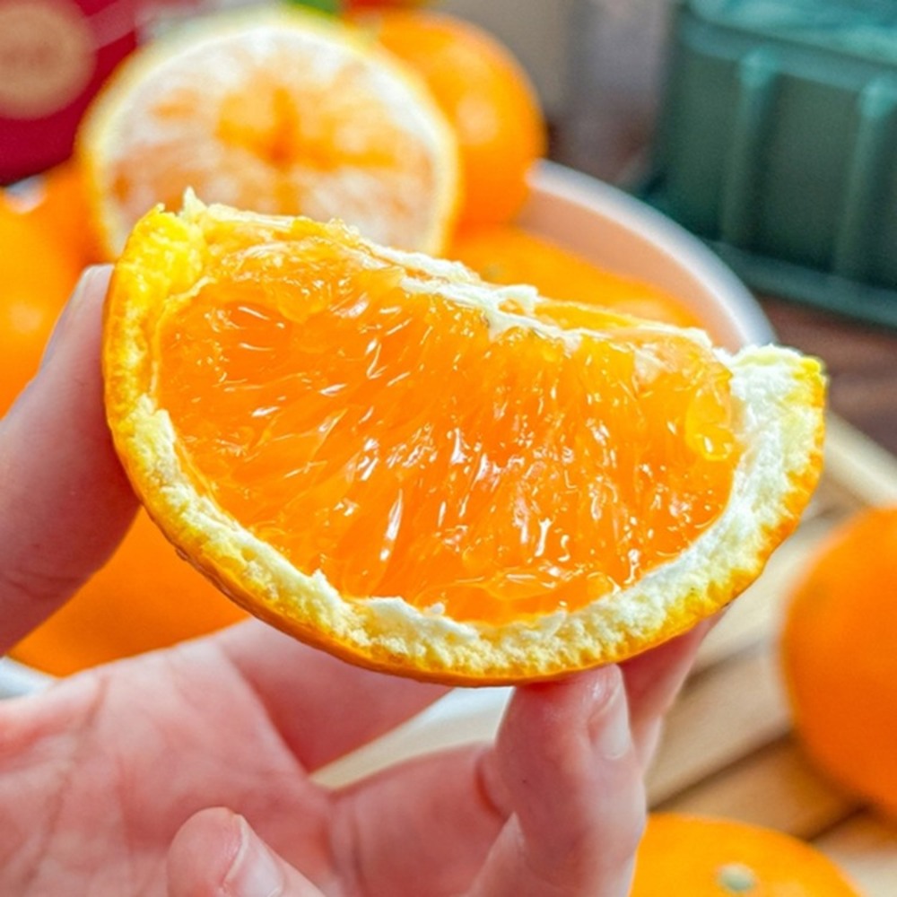 1744090937 thumbnail