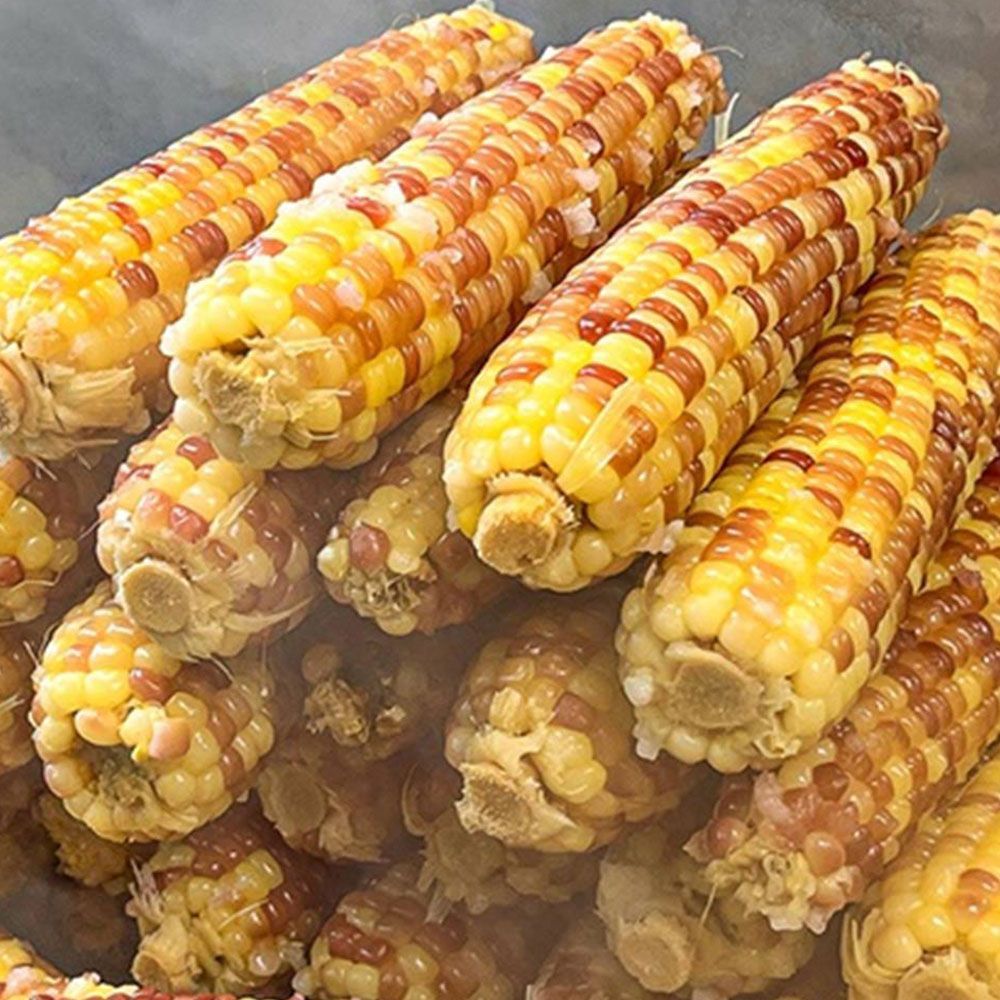 1744351665 thumbnail