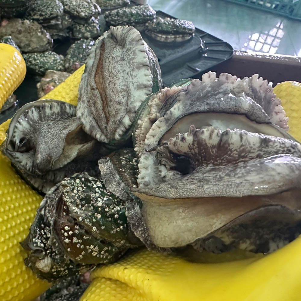 1744598782 thumbnail