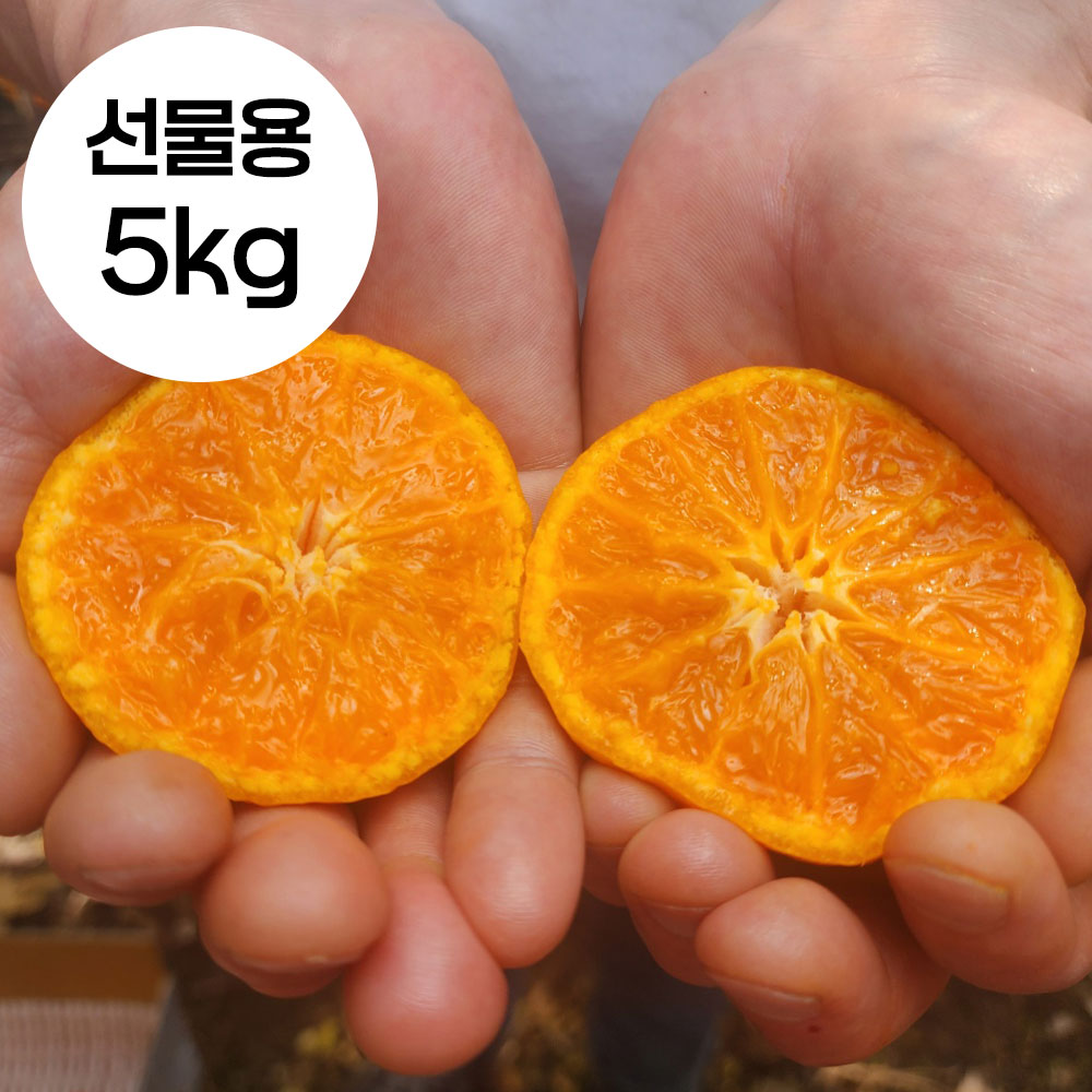 1744684845 thumbnail