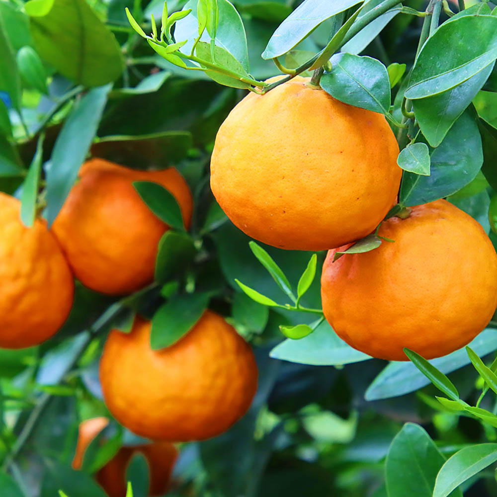 1744773851 thumbnail